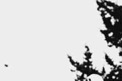 15-februari-2025-–-Exact-Cross_-Sint-Niklaas-Belgium-–-5-PM-03m-19s-©-Lars-Crommelinck-for-Golazo_-2